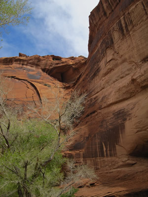cnyon rock